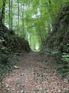 Chemin forestier ombragé, propice à une balade thérapeutique